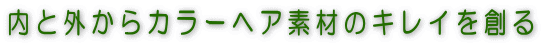 ���ƊO����J���[�w�A�f�ނ̃L���C��n��